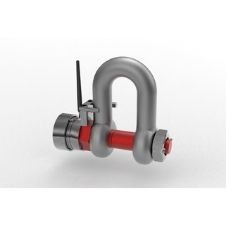 Wireless load shackle